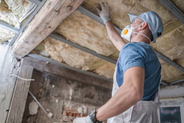 Best Local Insulation Services  in Kealakekua, HI